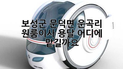 보성군 문덕면 운곡리 원룸이사 용달, 어디에 맡길까요?