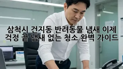 삼척시 건지동 반려동물 냄새, 이제 걱정 끝! 냄새 없는 청소 완벽 가이드